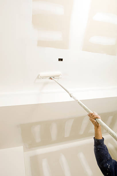 Best Industrial Mold Remediation  in Mclouth, KS