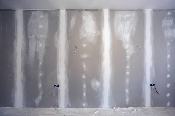 Best Basement Mold Removal  in Mclouth, KS